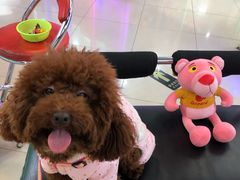 -小象猛犸(炫地购物中心店)
