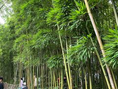 -成都杜甫草堂博物馆