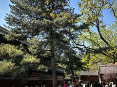 -潭柘寺景区