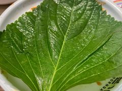 苏子叶-本家韩国烤肉(青岛万象城店)