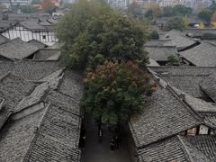 -中天楼