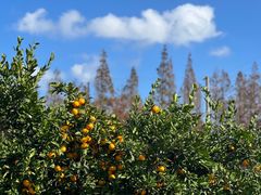 -瑞慈体检上海松江机构