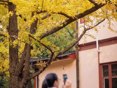-中山公园