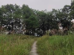 -南山植物园