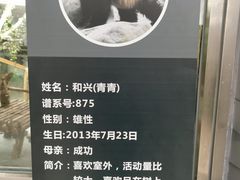 -青藏高原野生动物园
