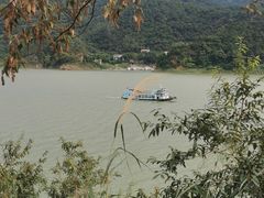 -羚羊峡古栈道森林公园