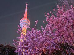 -龟山风景区-龟山电视塔