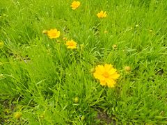 -盘龙城国家考古遗址公园