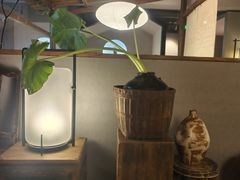 -本处·素食·融合料理(南油店)
