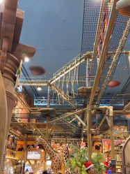 -卡通尼·Safari非洲探索乐园·生日会(金桥国际商业广场店)