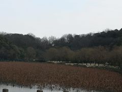 -苏堤停车场