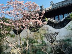 -豫园