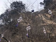 -黑龙潭风景区