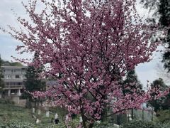 -魔指传奇足疗保健SPA(牛市口店)