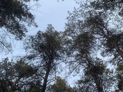 -长春净月潭风景名胜区