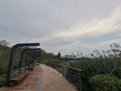 -昆山城市生态森林公园