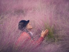 -映月湖中央公园