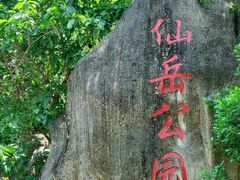 -仙岳公园