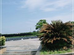 -上海都市菜园