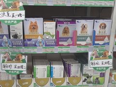 -中国农业大学动物医院