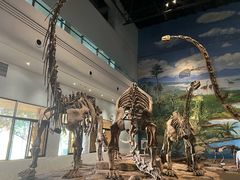 -自贡恐龙博物馆