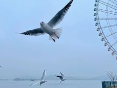 -蠡湖大桥公园