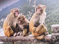 -重庆云阳龙缸景区