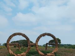 -嘉北郊野公园