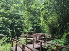 -赤水丹霞旅游区·佛光岩