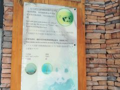 -熊猫厨房