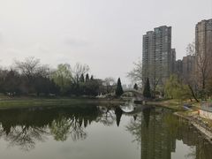 -渭滨公园