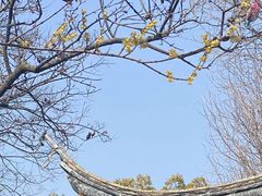 -苏州吴宫泛太平洋酒店