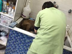 -芭比堂动物医院·心脏专科·夜诊·吉雅分院