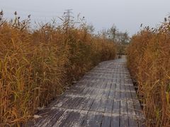 -永定河休闲森林公园