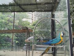 -昆明动物园