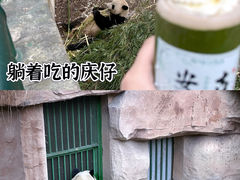 -安吉竹博园