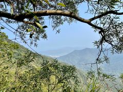 -梧桐山风景名胜区