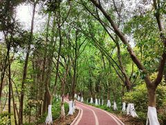 -番禺大夫山森林公园