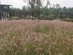 -府河摄影公园