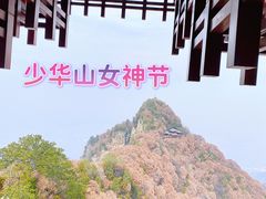 -少华山国家森林公园