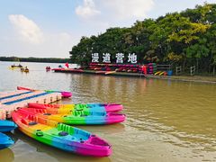 -上海海湾国家森林公园