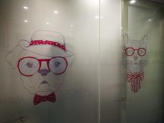 -伟伟宠物医院·CT影像中心·瑞派犬猫综合性门诊(汉口总院)