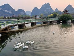 -靖西鹅泉风景区