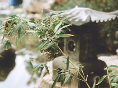 -聚缘堂·海鲜私房菜(松岭路店)