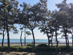 -八大峡公园