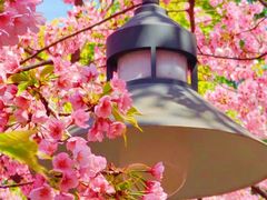 -静安雕塑公园