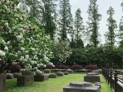 -明故宫遗址公园
