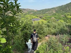 -白马涧龙池景区