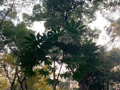 -旅马餐厅(茅家埠店)