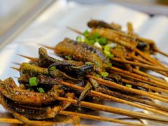 鳝鱼-晓靖轩烧烤(沙河风情店)